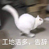 “冬天的第一顿火锅”来了!麻辣烫、羽绒服、西北风纷纷凑热闹 “冬天的第一顿火锅”来了!麻辣烫、羽绒服、西北风纷纷凑热闹